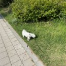 생기자리공원 이미지