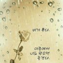 꿈나라 - 성남시 중원구 산성대로 526 | 꿈나라