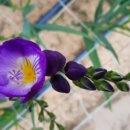 진천농장 이미지