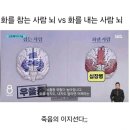 하나엠앤에스(주) | 날씨와 마음 심란했던 한 주, 가득한 점심 약속과...샌프란시스코 여행, 런던발 유나이티드 항공 후기