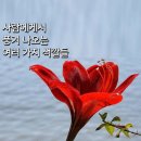 토비아 이미지