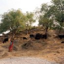 길상초등학교 이미지