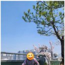 성남노인장기요양보험 나이스 방문요양센터 이용후기