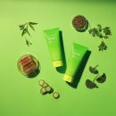 그린워시 이미지