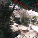 무재(無在) 이미지