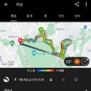 남산공원길1 이미지