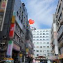 히트 관광나이트 이미지