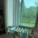 산들바람어린이집 | 국민아기세제 베베숲 아기세제 찐 사용후기