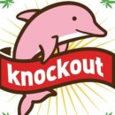 (주)넉아웃 이미지