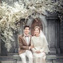 스파지오 이미지