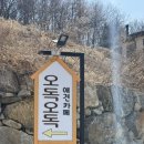 오독오독 반려견유치원 네이버블로그