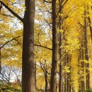 송정제방길 이미지