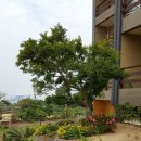 까망모래 이미지