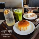 모녀청과 이미지