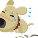 월복 이미지
