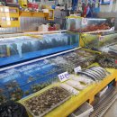 수원농수산물도매시장 이미지