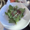 신라갈비 | 신라갈비 수원본점 내돈내산 후기 (가보정과 비교)