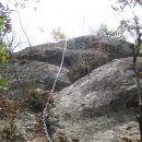 정상농장 이미지