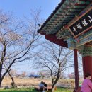 논산대로 이미지