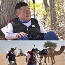 사막녹화 이미지