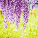 합도초등학교 이미지