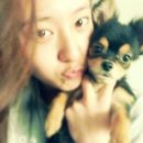 크리스탈장 이미지