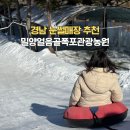 사과랑관광농원 | 경남눈썰매장 개장 밀양 얼음골폭포관광농원 부산근교
