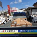 미가상사