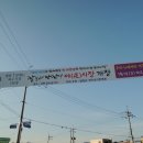 와수시장 이미지