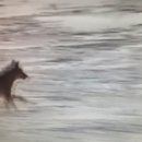 이백이몰 이미지