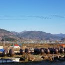지리산청솔식품 이미지