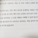 중등 문해력의 비밀 이미지