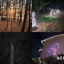 용두해수욕장 숲속야영장 이미지