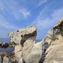 공원회센타 이미지