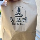 [동해] 베이커리 카페 빵포레 내돈내산 후기