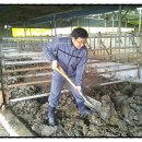 삼호농장3 이미지