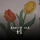 쉽게 그리는 색연필 보테니컬아트 이미지