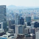 개미농장 네이버블로그