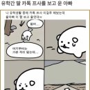순진한 강아지 이미지