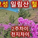 2024년 보성 일림산철쭉 등산-개화상황보고 가세요/용추계곡주차장/아침에는 초암산 오후에는 일림산으로 가자 이미지