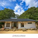 리틀포레스트 이미지