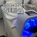 네리나스킨