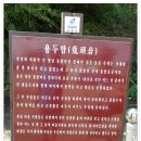용바위 이미지