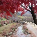 (경기도여행/용인여행)1박2일 용인 여행 이대로만 해라. 용인시의 알찬 정보와 여행지를 두루두루 설렵하는 코스로 꾸며졌습니다. 이미지