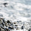 울산종합관광안내소 이미지