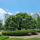 남원LH아파트 | 신(新) 십승지지(十勝之地) 배산임수(背山臨水)의 땅, 김해 관동동(官洞洞) 팔판(八判)마을의 율하천...