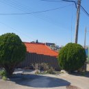 매향보건진료소 이미지