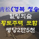 [경북 청송 토지매매]전원주택토지매매,펜션토지매매,귀농귀촌토지매매,힐링토지매매/황토주택+창고 포함 이미지