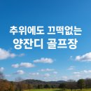 자유로골프클럽 | 추위에도 끄떡없는 양잔디 골프장 추천