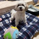 스튜디오리제이 이미지